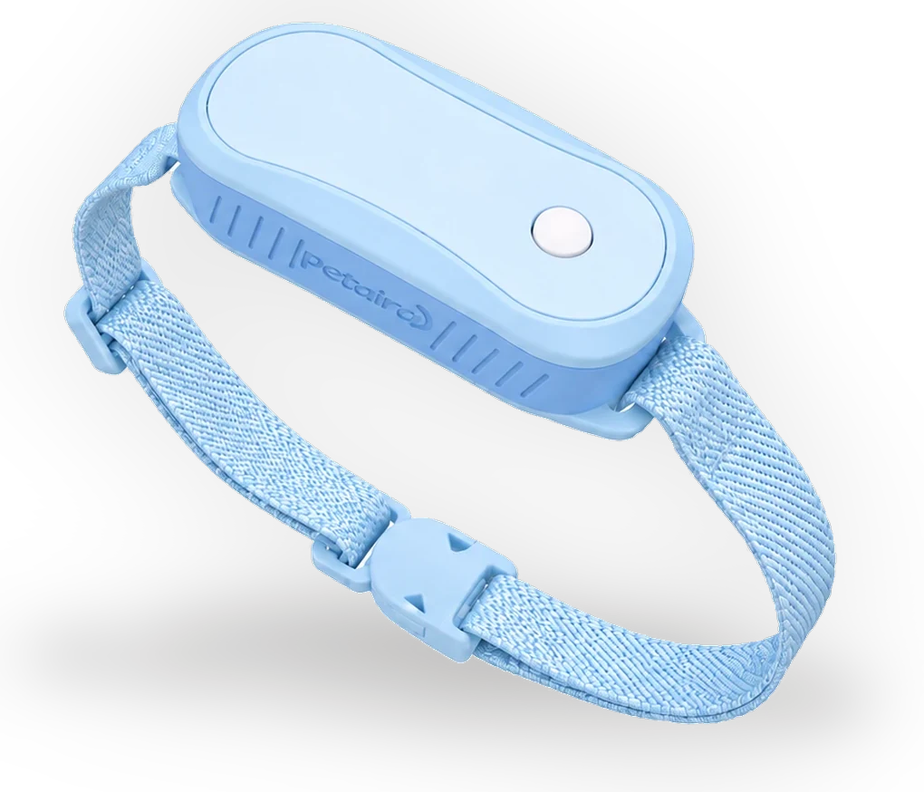 Petaira collar in Sky Blue