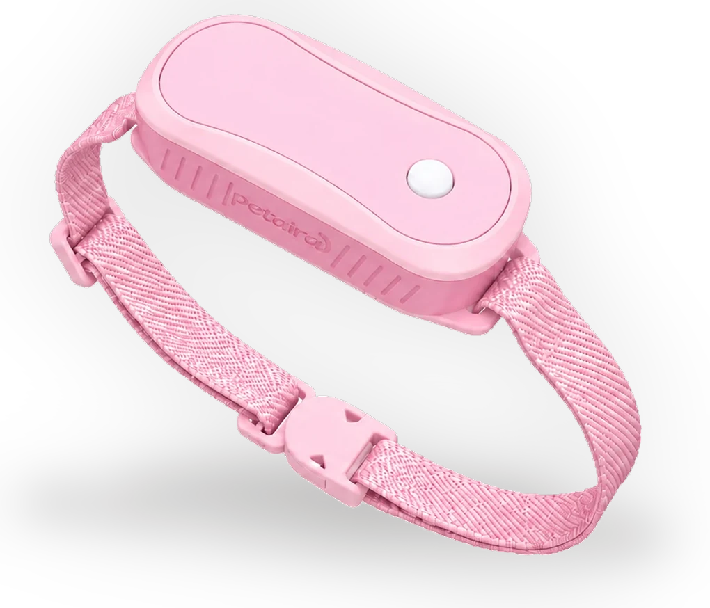 Petaira collar in Blossom Pink